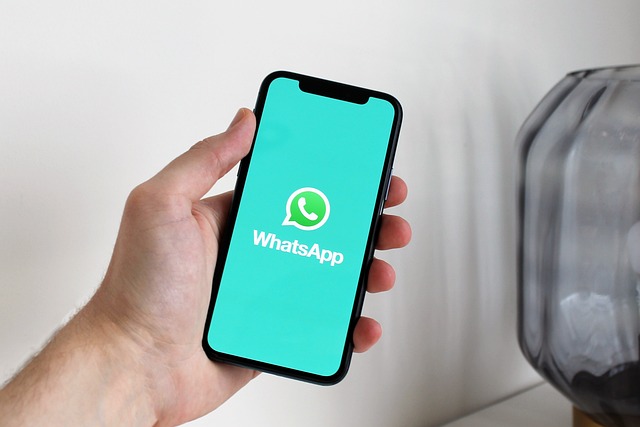 WhatsApp私域营销：打造个性化互动的品牌之道